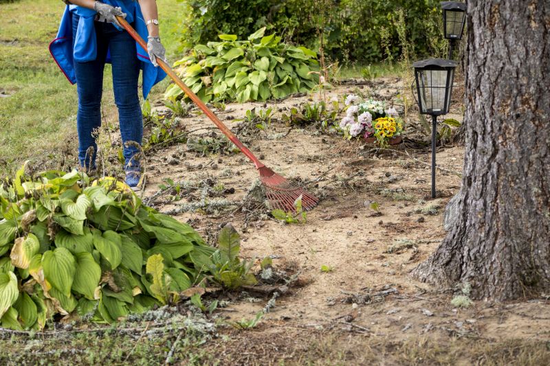 Finished Bamboo Removal Project