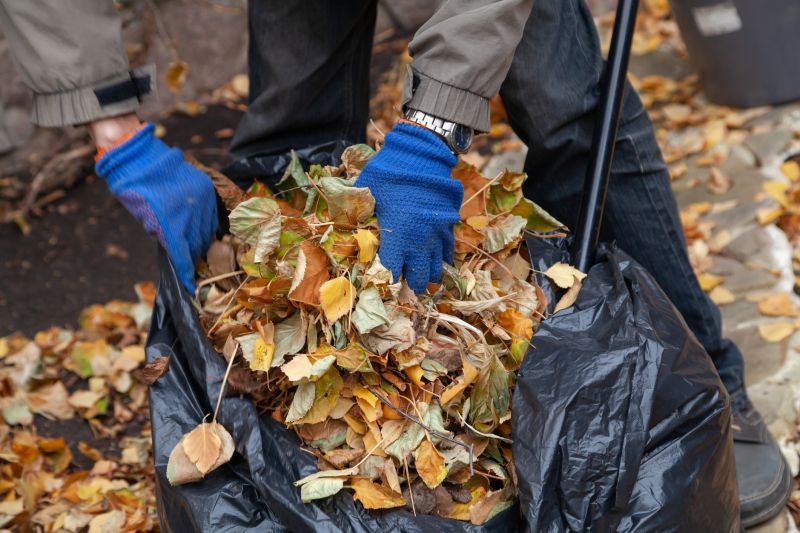 Proper Leaf Disposal Methods