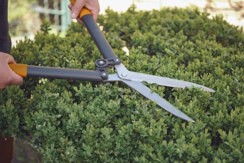 Tools Used for Shrub Trimming